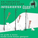 ANISKILLS® - Premium Reizangel - Set für Hunde und Katzen, für alle Größen geeignet - teleskopisch, Profiausrüstung - inkl. flexiblem Gummiseil und robustem Nylonseil - deutsches Unternehmen