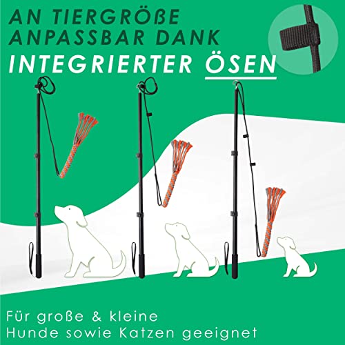 ANISKILLS® - Premium Reizangel - Set für Hunde und Katzen, für alle Größen geeignet - teleskopisch, Profiausrüstung - inkl. flexiblem Gummiseil und robustem Nylonseil - deutsches Unternehmen