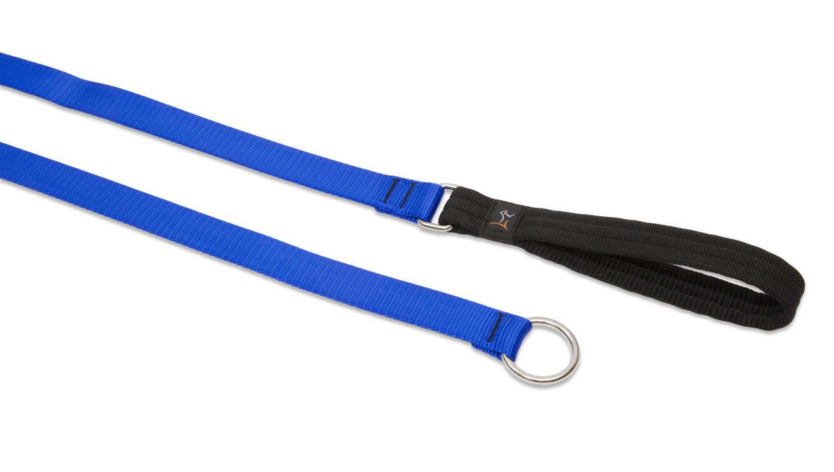 Laisse pour chiens LupinePet Basics 1,8 m pour stopper les tractions