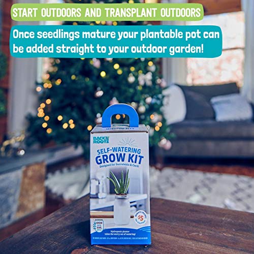 Back To The Roots Self Watering Grow Kit - Glass Hydroponic Planters For Succulents And Cacti - Hassle-Free Self-Watering System #TOP3