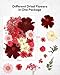 Dried Flowers for Resin, Resiners 100Pcs Dried Flowers for Candle Making Red Real Natural Pressed Flowers Dry Leaves Kit for DIY Crafts Resin Soap Scrapbook Supplies Card Making Jewelry