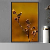 Framed Canvas Wall Art Butterflies Butterfly Colorful Farmhouse/Country Hallway Insects Multicolor Photography - 16x24 inches