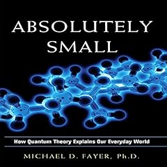 Absolutely Small Audiolibro Por Michael D. Fayer arte de portada