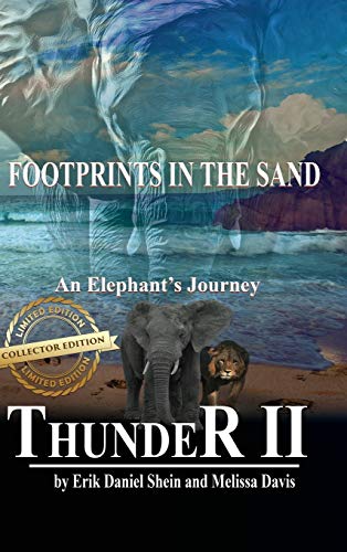 Thunder II: Footprints in the Sand 1629896233 Book Cover