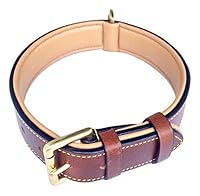 Algopix Similar Product 17 - Soft Touch Collars Padded Leather Dog