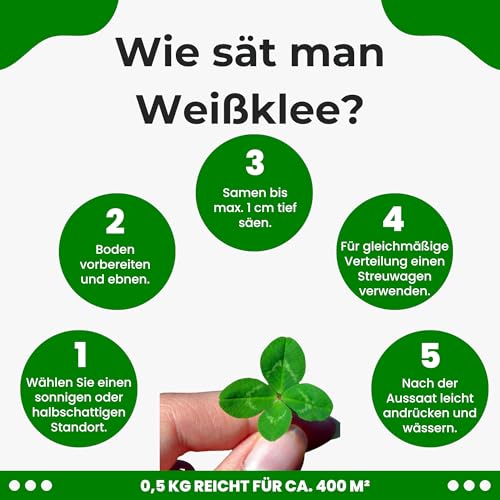 Mantelsaat Mikroklee - Weißklee 500g - Rasenklee bereichert den Rasen - Klee Samen zur Anlockung von Bienen -Saatgut für gleichmäßige, dichte Grasnarbe das ganze Jahr über