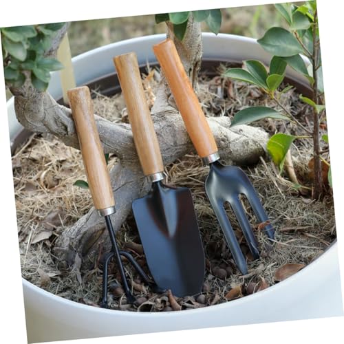 TOYANDONA 3piezas Herramientas de Jardinería Manual Pala de Mano y Rastrillo de Jardín para Jardín Interior y Exterior Kit de Herramientas de Jardinería para Suculentas - imagen 5
