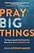 Pray Big Things: The Surprising Life God Has for You When You're Bold Enough to Ask