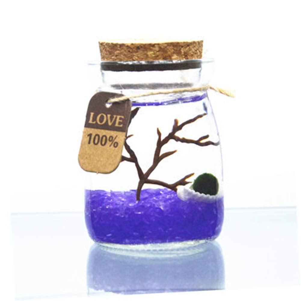 Aegagropila Linnaei Moss Balls Glass Multi Color Aquarium Kit Micro LandscapeHouseplant HomeOfficeGlass Decorative Bottle Birthday Gift (7)