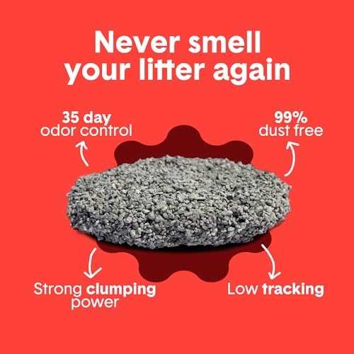 Boxie® Extra Strength 35 Day Odor Control Clumping Clay Cat & Kitty Litter 28lb, 99.9% Dust-Free, Probiotic Formula, Long-Lasting, Veterinarian Approved, Easy Scooping for Multi-Cat Homes