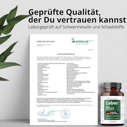 Leber Plus hochdosiert - 80% Silymarin, Mariendistel Kapseln mit Artischocke, Löwenzahn, Curcuma & Cholin - 120 Kapseln - Vegan - Milk thistle - Made in Germany