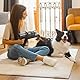 Cecotec Kabelloser Stielstaubsauger Conga Rockstar 3500 Storm Flex Animal. 3 in 1, Parallelzyklon, 500 W, 30 kPa, 150 AW, 70 Minuten Laufzeit, Flexibler Schlauch, Jalisco-Bürste, Zubehör für Tiere