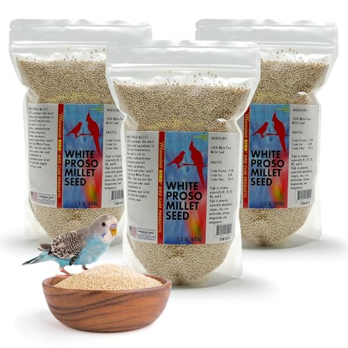 Morning Bird White Proso Millet 4.5 lbs (3-Pack 1.5 lbs Each) Unhulled Natural Bird Seed Supports Feather Growth & Balanced Nutrition High Energy Seed - Ideal for Finches Parakeets & Pet Birds