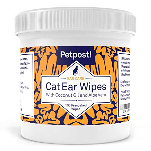 Are Baby Wipes Safe For Cats? (Be Careful!) Here’s What You MUST Know First