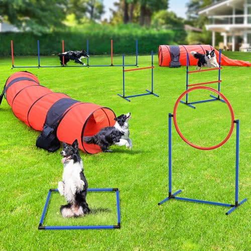 YITAHOME Dog Agility Equipments: Includes Flirt Pole, 3 Flying Discs,...