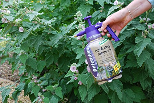 The Big Cheese Cat & Dog Scatter Spray STV624, Garden Cat Repeller, Pump Action Pressure Sprayer, 1.5 Litre, Blue - Image 8