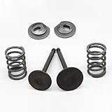 HogarTech Spring Retainer Kit for Honda GX200 168F 170F 55HPC65HP Engine, Includes Valve Springs Inlet Exhaust Valves Collets