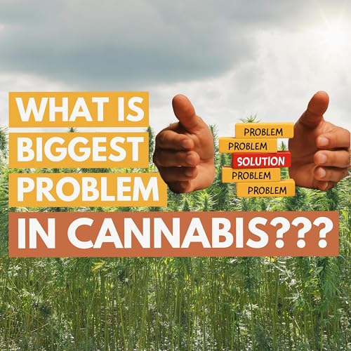 What is the number 1 problem in the cannabis industry? Ep 214