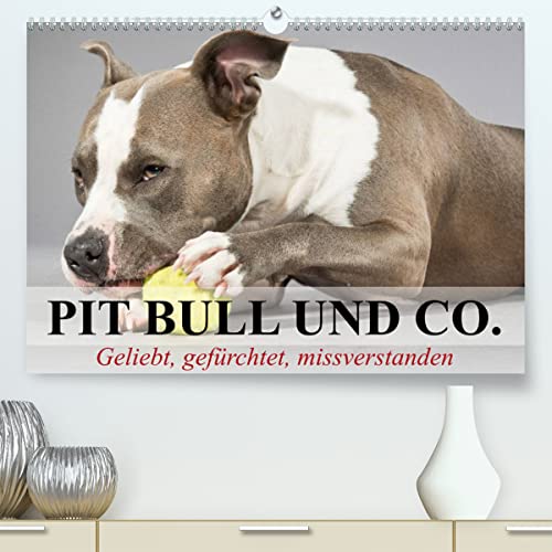 Pit Bull und Co. - Geliebt, gefürchtet, missverstanden (hochwertiger Premium Wandkalender 2024 DIN A2 quer), Kunstdruck in Hochglanz: Listenhunde zwischen Wahrheit und Hetze. (CALVENDO Tiere)