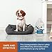 Chem-Girl OxyPro Concentrated Multi-Purpose Surface Cleaner to the Rescue - Chlorine-Free, Oxygen-Powered Stain & Odor Remover, 5 Percent Hydrogen Peroxide (H2O2), 1 Gallon