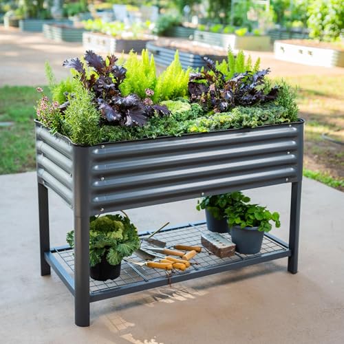 Image of Elevated Raised Garden Bed-V Series, 2' x 4' Garden Beds with Legs & Storage Rack for Patio Porch, 700 Lbs Weight Capacity, Outdoor Planter Boxes for Gardening Herbs Vegetables Flowers, Modern Gray