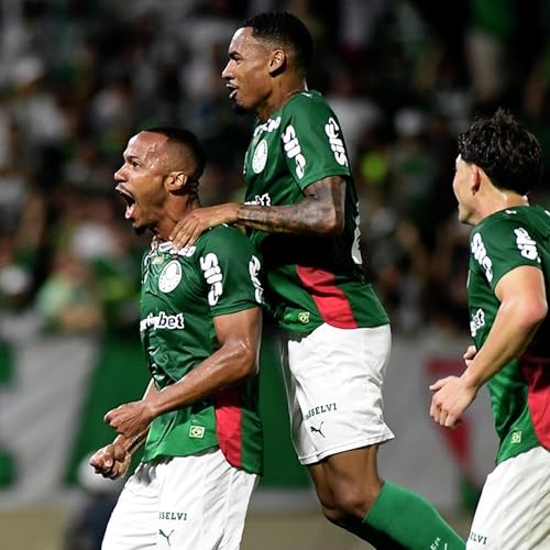 GE PALMEIRAS #535 - L&iacute;der, eficiente e cada vez mais cascudo