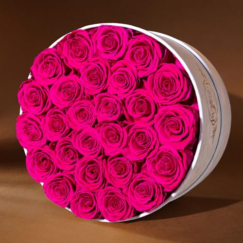 27 Flowers in a Luxury Suede Box, Birthday Gifts for Women, Preserved Flowers, Mothers Day Roses Gift for Mom, Hot Pink