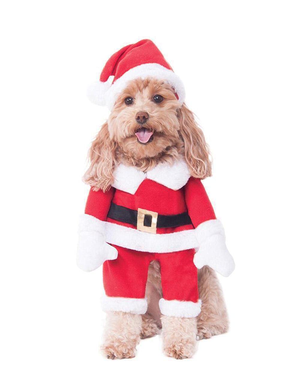 Disfraz de Papá Noel para mascotas pequeñas en la cena de Navidad familiar