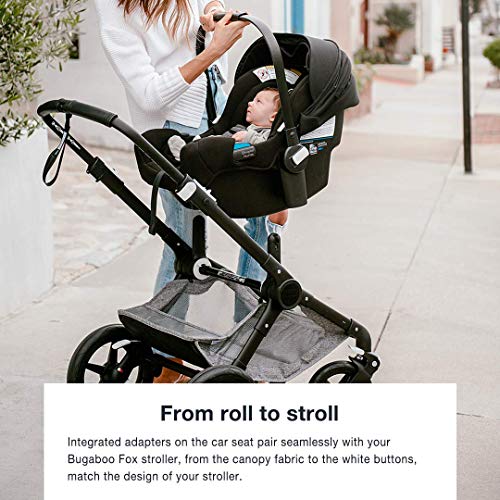 bugaboo fox and turtle