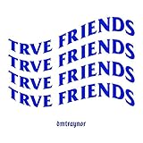 traynor amps europe  DM Traynor