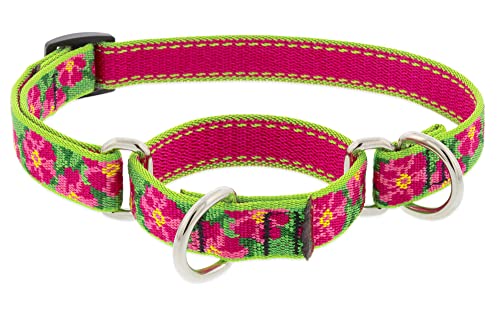 Lupine Small Martingale Dog Collar 3/4