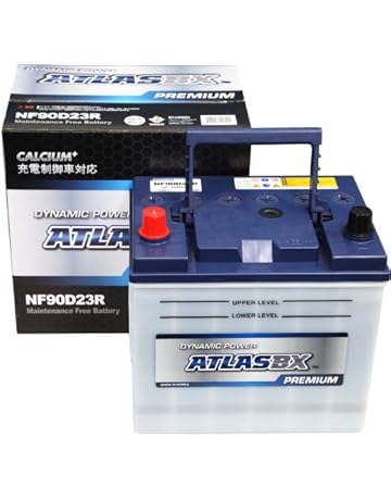フラワーB ブルーグレイ □G\u0026Yu NEXT+ NP115D26L/S-95 国産車用