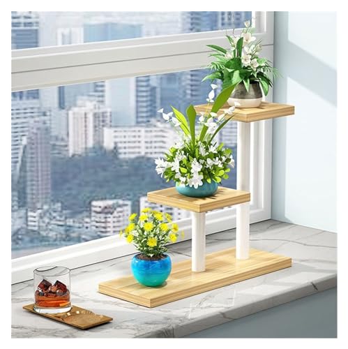 Support de plantes d'angle en métal robuste avec étagère stable de table