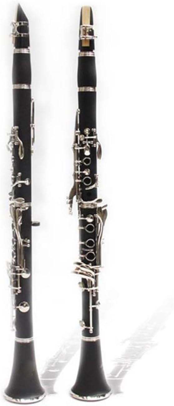 clarinet for Beginner Clarinet Instruments Beginner Clarinet Professional Playing B Flat