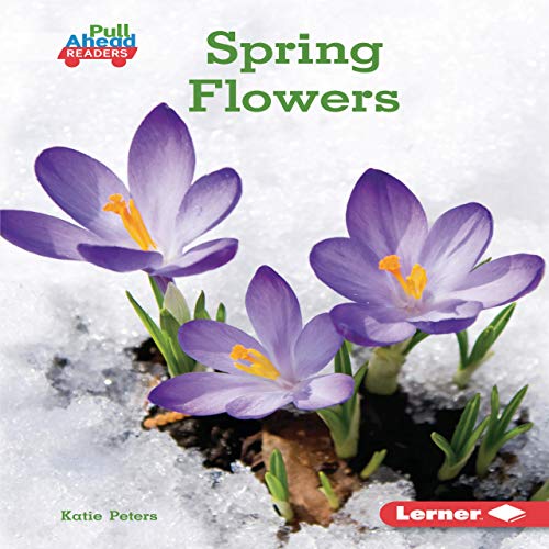 Spring Flowers by Katie Peters episode artwork