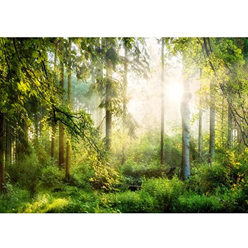 Runa Art Papier peint intissé soleil forêt 352 x 250 cm Toison Mur XXL Tableaux Muraux Tapisserie Photo Décoration Murale Salon Chambre Vert jaunâtre...