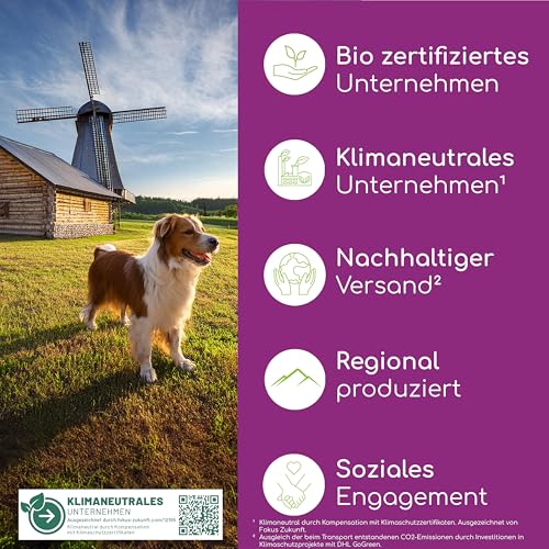 WormEx - Pflanzliche Wurmkur für Hunde, Effektiver Schutz gegen Würmer und Parasiten, Enthält Walnussöl, Hanfsamenöl und Kokosöl, Wurmkur Hund gegen Würmer