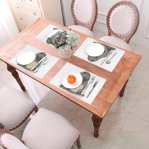 Sets de table de cuisine durables 45,7x30,5cm en PVC - 5