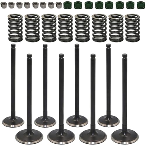 HWKWAZ Engine Intake Exhaust Valve Kit Compatible with Kawasaki BRUTE FORCE 650 750 TERYX 750 PRAIRIE 650 750 KFX700