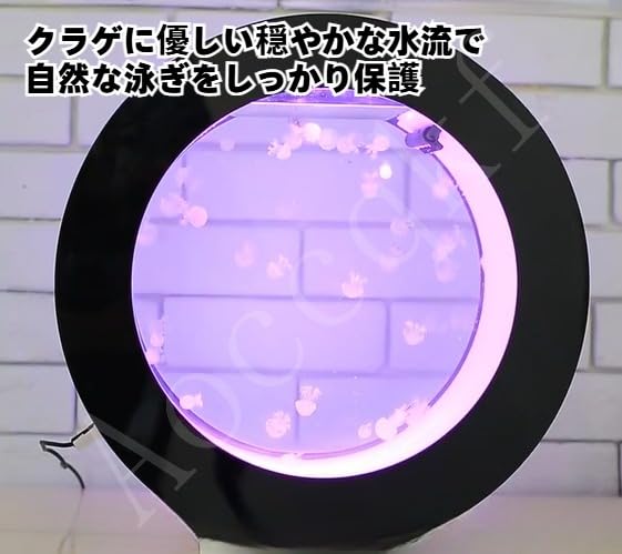Amazon | Aoccqkfクラゲ専用水槽 5層フィルタシステムのスマート