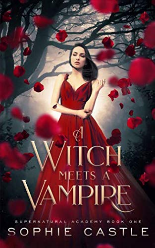 A Witch Meets A Vampire (Supernatural Academy, Band 1)
