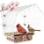 Ermete Window Bird Feeder with Strong Suction Cups, Large View Clear Feeder, Seed Tray, 13in x 5.5in x 4.2in for Outside Weather Proof (S2)