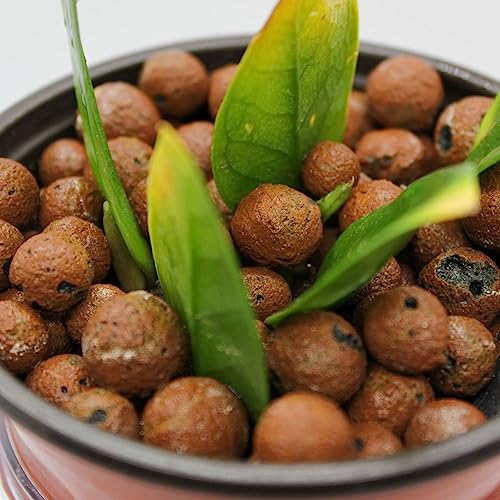 UK GROW Clay Pebbles 1L 2L 3L 4L 5L 6L 7L 8L 9L 10L 20L 30L 50L hydroponic Growing Substrate (1L) - Image 6