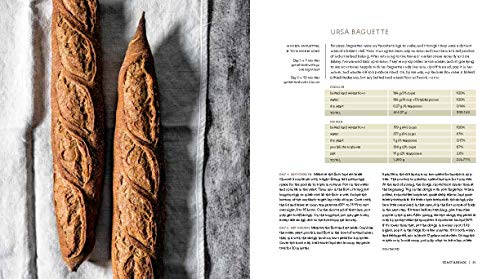 image for Ten Speed Press Mastering Bread: The Art and Practice of Handmade Sour