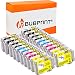 Produktbild Bubprint Kompatibel 20 Druckerpatronen als Ersatz für Epson T1301 T1302 T1303 T1304 Stylus Office BX 320FW 525WD 535WD 625FWD 635FWD 935FWD SX 525WD 620FW Workforce WF3520DWF WF3540 DTWF WF7525