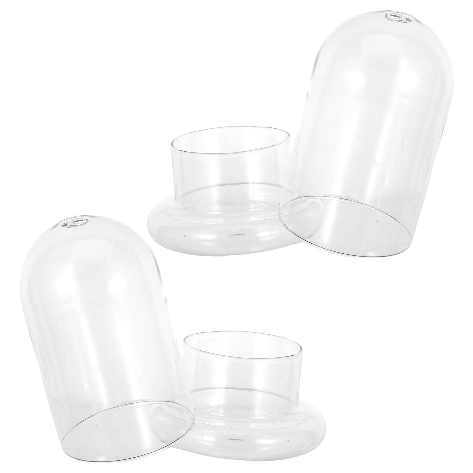 Terrarios ecológicos resistentes COLLBATH fabricados en vidrio soplado de borosilicato puro