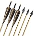 ZSHJGJR 10pcs Flecha de Madera 31 Pulgadas con 5" Flecha Pluma de...