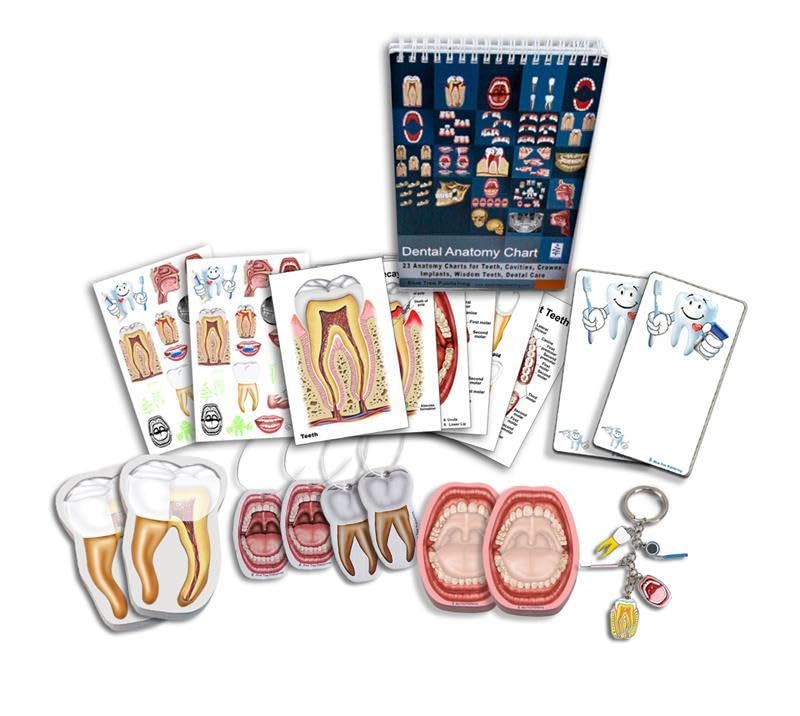 Dentista Higienista Asistente Dental Estudiante Paquete de Regalo de 19 Piezas