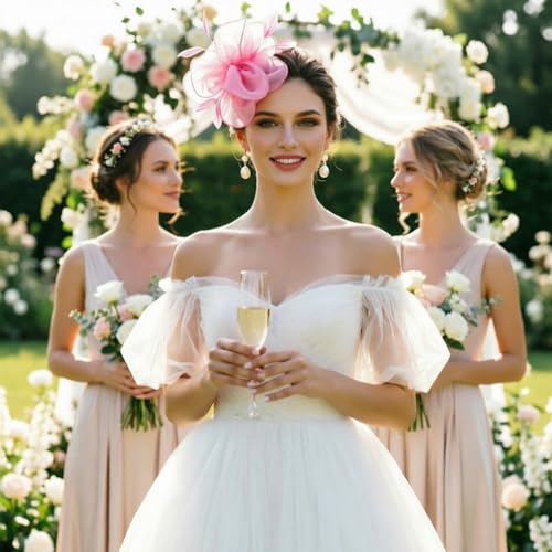 Image of DRESHOW Fascinators Hat Tea Party Headwear Ribbons Feathers on a Headband and a Clip for Women