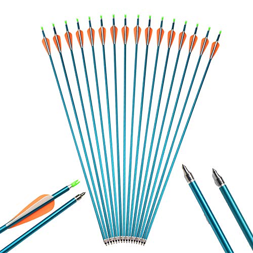 NMCPY 6.2 XpC500 6/12{Zbg A~jEA[ A~jE A[`F[ | | J[u{E/RpEh{EKp Vtg lW|Cg \̖  |K Zp (6{)